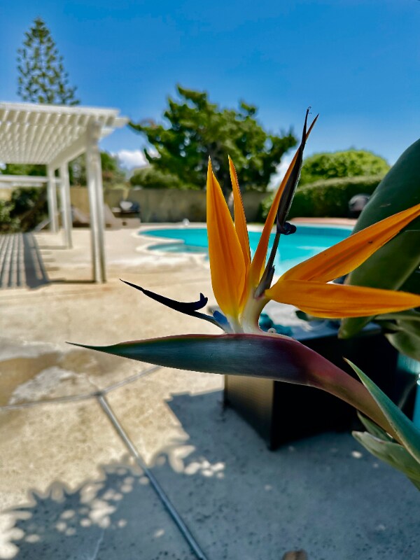 Foto del edificio - 8451 Garden St