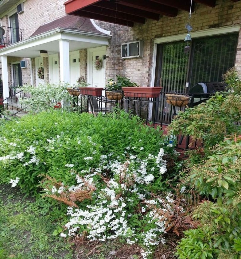 304 Chester Heights Dr, Chester, NY 10918 Apartments in Chester, NY