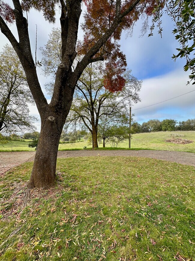 Foto del edificio - 6181 Wise Rd