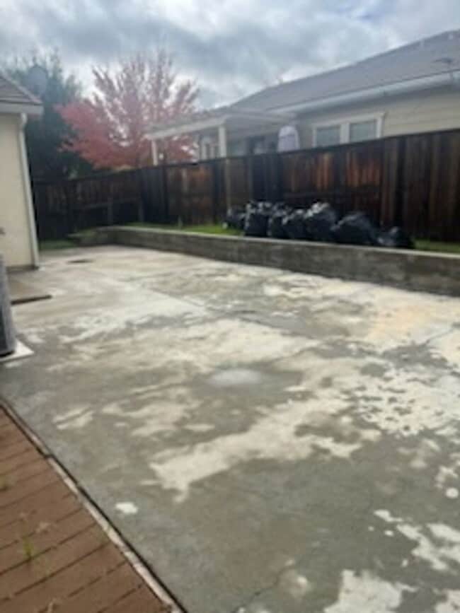 Building Photo - Patterson Stunner