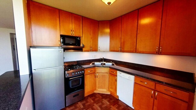 Building Photo - 1555 N Dearborn Pkwy