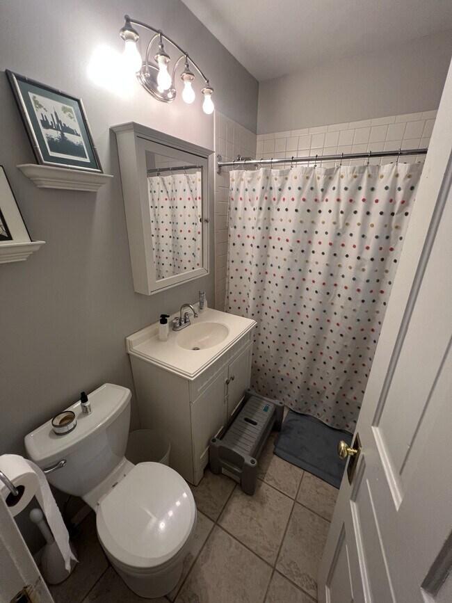 Main bathroom - 807 Greenleaf St