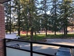 Primary Photo - 45525-45525 Keith Wilson Rd