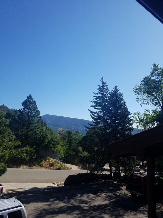 Building Photo - 1 Bedroom 1 Bath Condo near Animas Mountai...