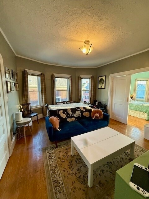 Primary Photo - 39 Wolcott St