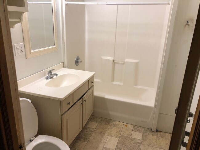 Bathroom - 3311 W McKinley Blvd
