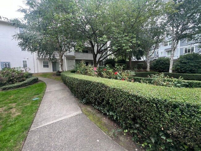 Foto del edificio - Renton Condominium - Sunset Garden