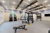 Located at 1521 Lee Rd in Douglasville, Georgia, this fitness center offers a generously sized, single-floor layout designed to accommodate a comprehensive range of workout routines. The space is defined by a striking coffered ceiling accented with dark wood beams, recessed lighting, and large ceiling fans that keep the environment comfortable during intense training sessions.

Large, multi-pane windows line the walls throughout the facility, flooding the interior with natural light and offering views of the surrounding greenery. The neutral-toned carpet flooring and soft blue-and-cream wall palette create a clean, inviting atmosphere.

The cardio section is well-appointed with multiple treadmills, stair climbers, and elliptical machines. A dedicated Training Zone features a robust TRX suspension system, a multi-functional power rack, barbells, weight plates, and a fully stocked dumbbell rack. An additional area accommodates spin bikes, stability balls, and open floor space ideal for stretching or functional training. Glass entry doors provide easy access, and the layout promotes smooth circulation throughout the space. This fitness center is comprehensively equipped to support cardio, strength, and functional training needs.