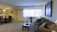 This single-floor residence offers a clean, comfortable living environment designed with practicality and ease in mind. The living room serves as the heart of the space, featuring wall-to-wall carpeting that adds warmth underfoot and a soft, neutral color palette across the walls and furnishings. A wide bank of windows dressed with sheer white curtains and horizontal blinds allows generous natural light to fill the room, creating a bright and airy atmosphere. The layout accommodates a plush upholstered sofa accented with patterned throw pillows, positioned alongside a dark wood coffee table that anchors the seating area. A potted plant and tasteful decorative accents add a touch of life and character to the room. A floor lamp provides supplemental ambient lighting, enhancing the room's inviting quality. The walls are finished in a clean off-white tone with crisp white baseboards and trim, giving the space a tidy, well-maintained appearance. A closet door is visible along one wall, indicating practical built-in storage. Overall, the space presents a straightforward and functional living environment with comfortable furnishings, ample natural light, and a calm, neutral aesthetic throughout.