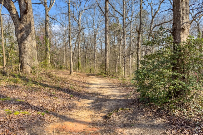 Brownwood Park has lots of trails for walking and hiking.