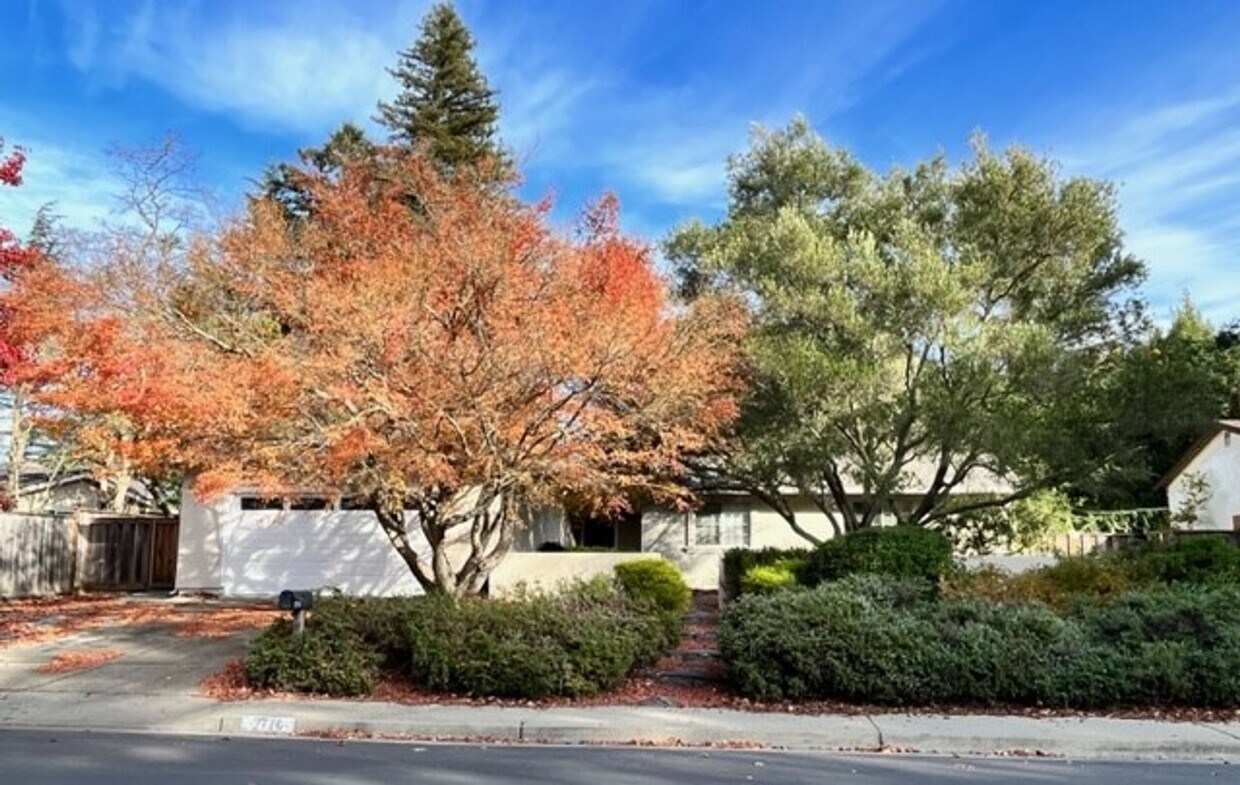 Primary Photo - Move-in Ready, Single Story, 3BD/2BA Home ...