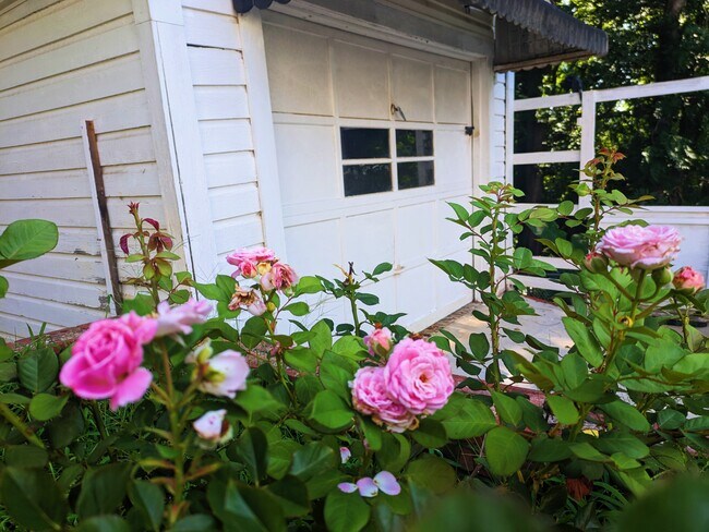 Rosas por toda la propiedad. - 532 6th Ave SW