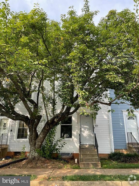 Building Photo - 809 Madison Ct