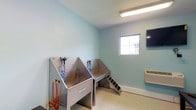 This single-floor pet grooming facility is thoughtfully designed to provide a clean, functional, and comfortable environment for pet care. The room is finished in a soothing light aqua tone, lending a calm and hygienic atmosphere throughout the space.

At the heart of the room are two stainless steel grooming tubs, each equipped with individual spray hose attachments secured to the tub walls for convenient use. A set of grooming tools, including brushes and accessories, are neatly hung nearby for easy access. A step ramp positioned alongside one of the tubs allows pets to enter and exit with ease, making the space accessible for animals of varying sizes.

Natural light filters in through a centrally placed window, brightening the room and creating an inviting environment. Overhead fluorescent lighting ensures consistent, well-distributed illumination throughout. A wall-mounted climate control unit is installed to maintain a comfortable temperature year-round, essential for the comfort of both pets and handlers.

The light-toned flooring is smooth and easy to clean, reflecting the practical design priorities of the space. A wall-mounted screen adds a modern touch to the room. Overall, this grooming station is a well-equipped, purpose-built space that balances functionality with a welcoming, stress-free ambiance for pets and their owners alike.
