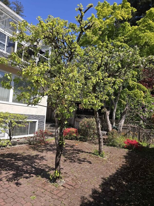 Photo du bâtiment - 160 29th St E