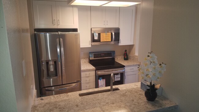 New Kitchen Appliances - 7595 Canyon Meadows Cir