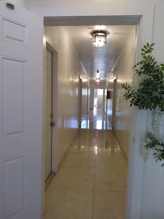 Building Photo - Antiquera Apartments at Coral Gables