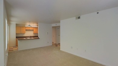 Ellison Apartments photo'