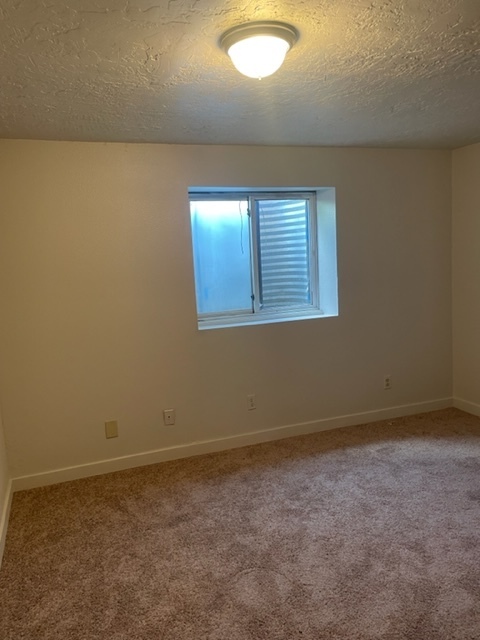 Building Photo - Renovated 1 bedroom in great location