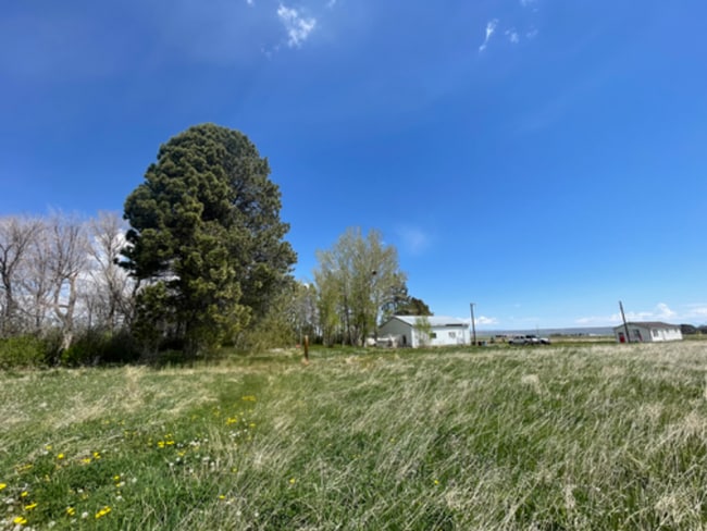 Building Photo - 11 Pine St