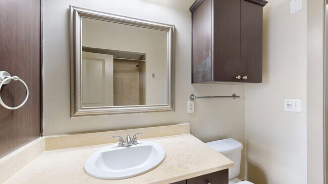 Interior Photo - Domain College Park