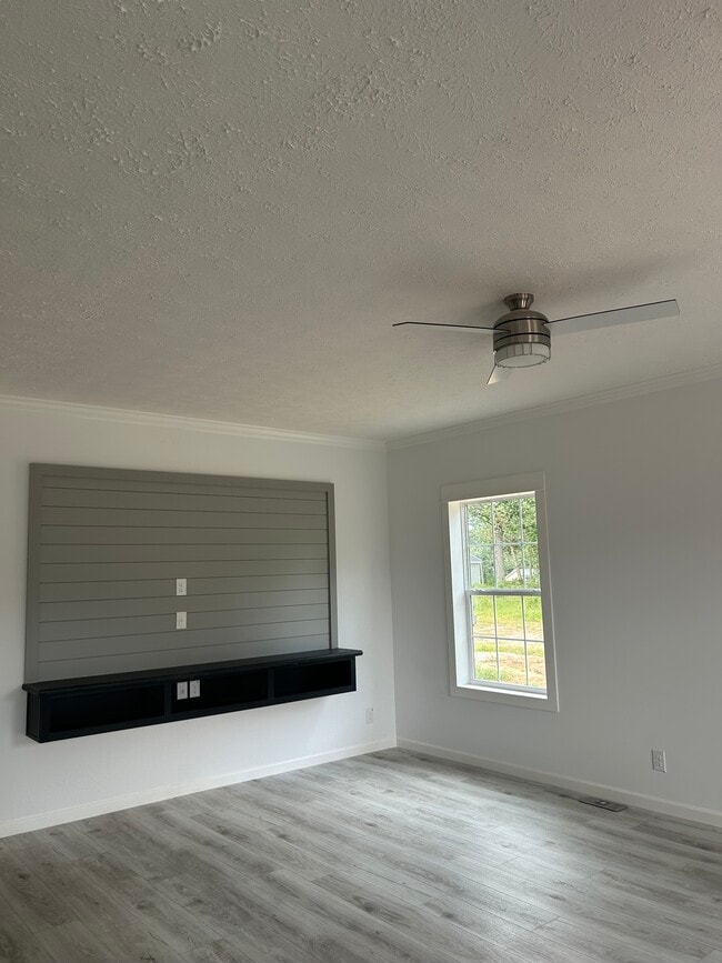 Entertainment Accent Wall - 3148 Texs Fish Camp Rd