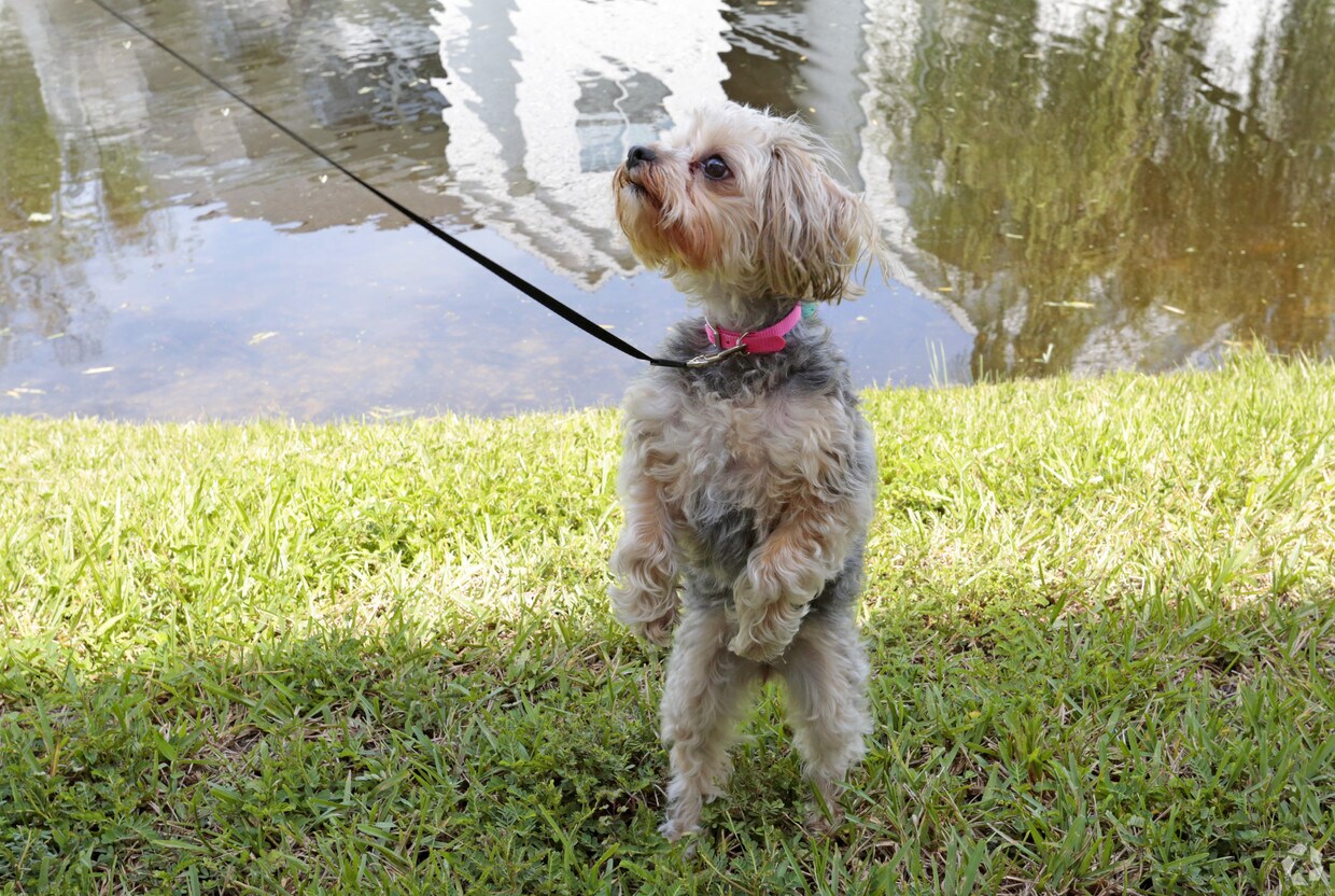 10X Ormond Beach 600 Crowne Commerce Ct Ormond Beach, FL Apartments