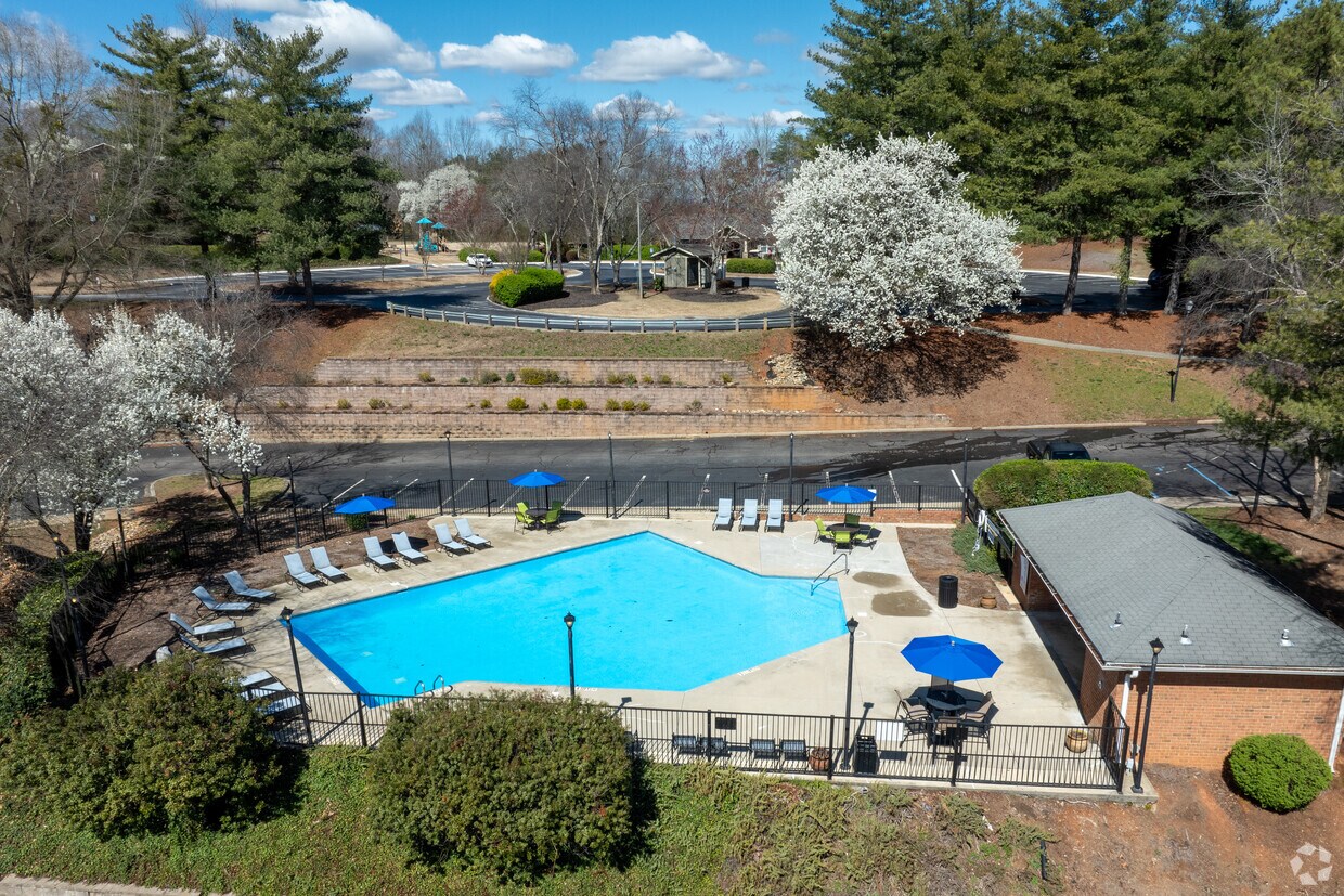 Piscina - zCobalt Springs