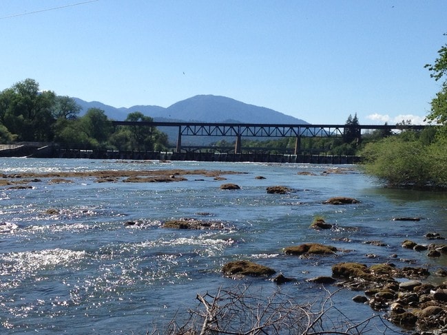 Building Photo - 1046 Continental St