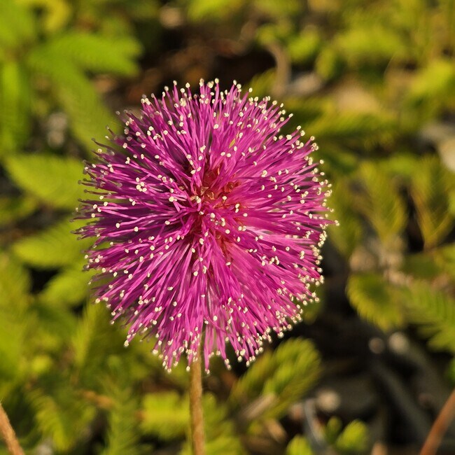 Foto del edificio - 1670 NE 191st St