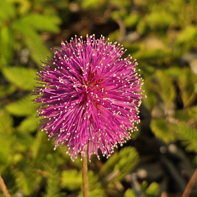 Building Photo - 1670 NE 191st St