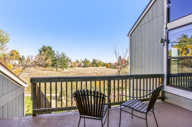 openspace view from deck - 3387 Cripple Creek Trl