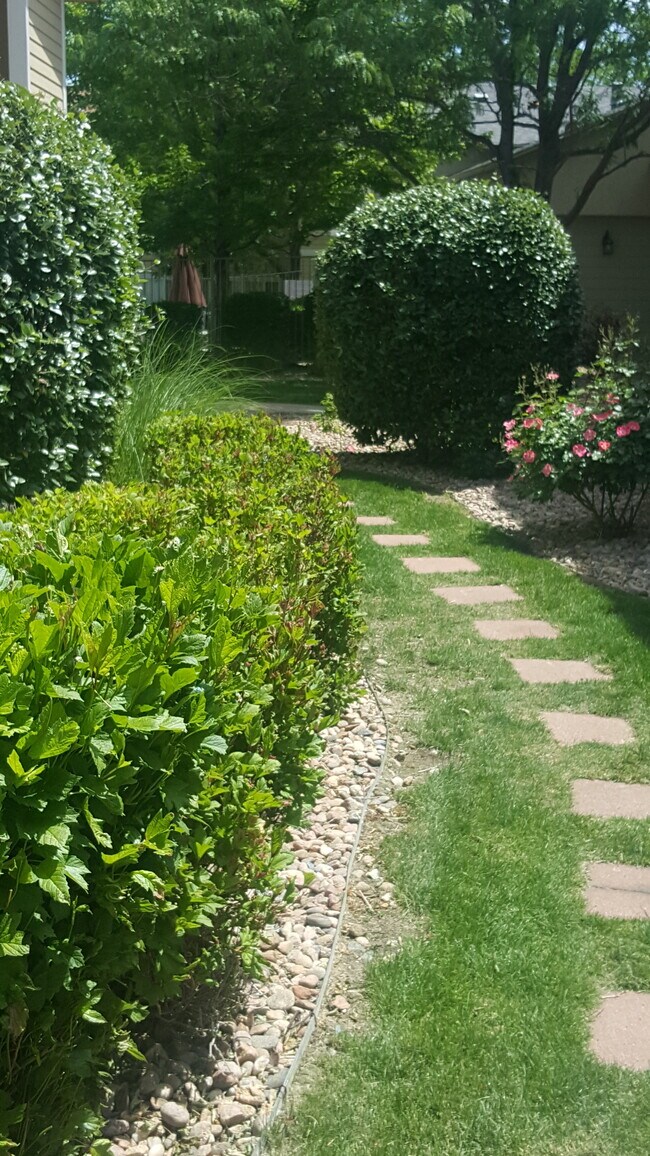 Foto del edificio - 4875 S Balsam Way