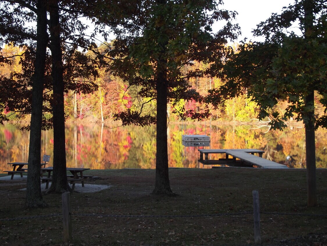 Free Lakefront Access - 1016 Lakeview Dr