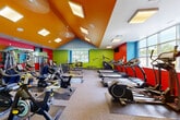 Located at 8211 S 87th Plaza in La Vista, Nebraska, this fitness center delivers a dynamic and energizing workout environment across a single open floor. The space is immediately defined by its bold, multi-color design scheme — vivid walls in red, lime green, blue, and orange create a high-energy atmosphere that motivates activity throughout. A vaulted ceiling with an orange accent and embedded skylight panels rises above the central area, lending the space a sense of openness and volume, while ceiling fans help maintain airflow throughout.

The fitness floor is comprehensively outfitted with a wide array of equipment. Cardio offerings include multiple treadmills, elliptical trainers, upright and recumbent stationary bikes, and stair climbers arranged in well-organized rows. A dedicated strength and free-weight area features a full dumbbell rack, adjustable benches, cable machines, and multi-use strength stations positioned along the mirrored wall, which further enhances the sense of spaciousness. Wall-mounted flat-screen televisions are positioned for easy viewing during cardio sessions.

Natural light pours in through large windows along multiple walls, offering outdoor views of surrounding greenery. Carpeted flooring provides comfort and stability underfoot, and the layout ensures ample circulation space between equipment stations. The overall design balances functionality with an inviting, high-energy aesthetic.