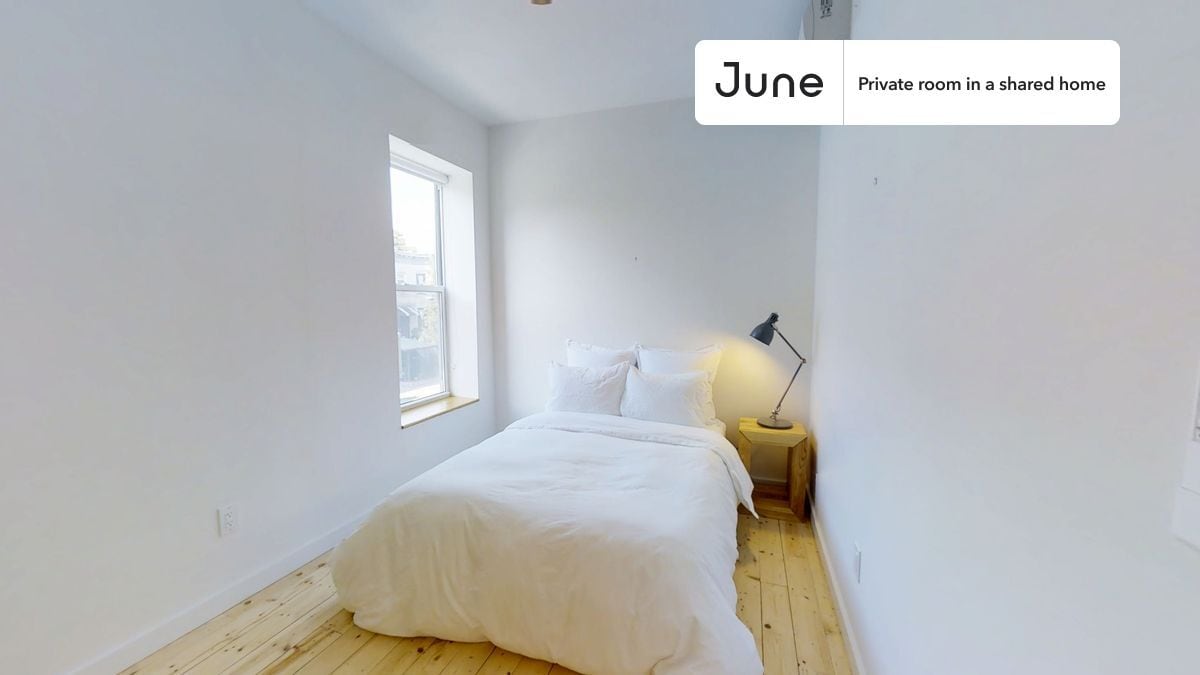 Room in Shared 4 bed/2 bath home - Room in Shared 4 bed/2 bath home