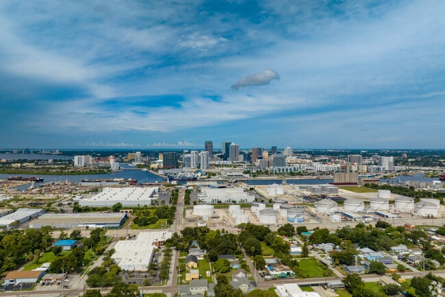 Top 10 Most Pet-Friendly Neighborhoods in Tampa, FL