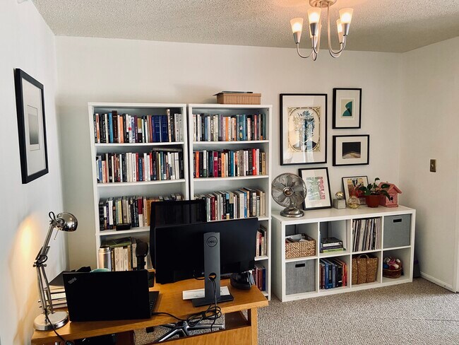 Living Room - 1600 N Oak St