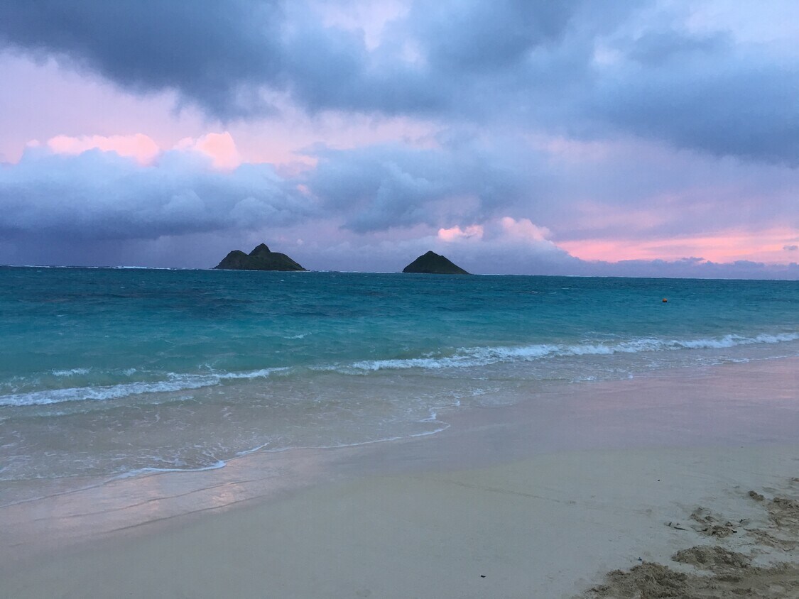 1422 Mokolea Dr, Kailua, HI 96734 House Rental in Kailua, HI