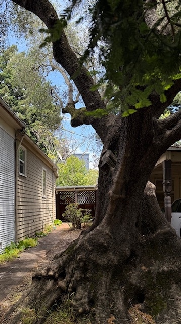 Primary Photo - 2609 Dana St