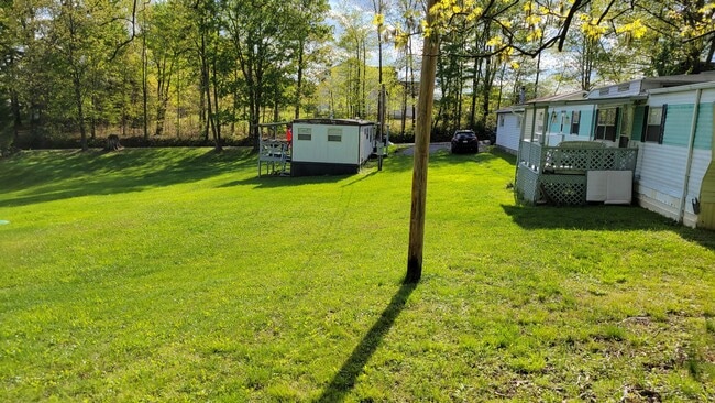 Yard - 41 Burnt Cabin Rd