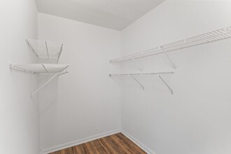 Interior Photo - Club Caribe