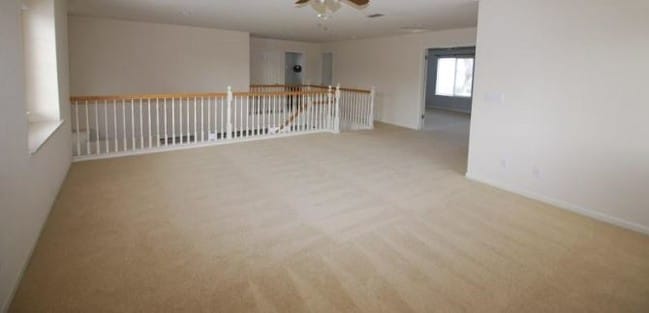 Building Photo - 5015 Sagan Ct