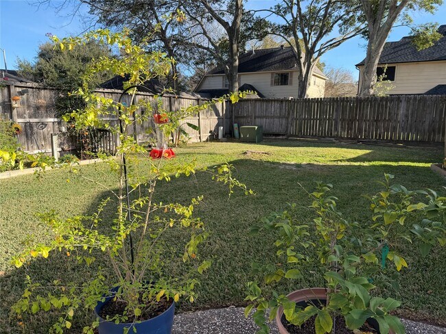 Foto del edificio - 20307 Pittsford Dr