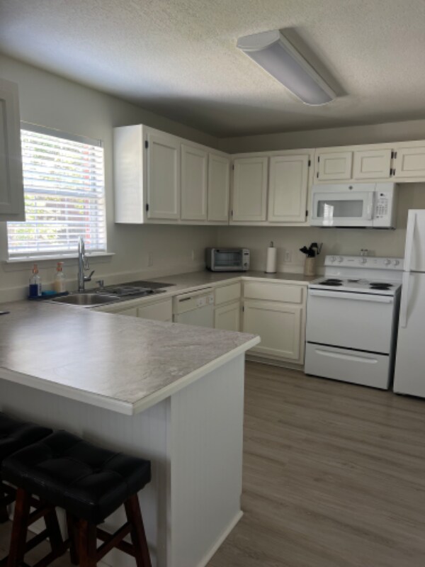 Building Photo - 245 Palmetto Ln