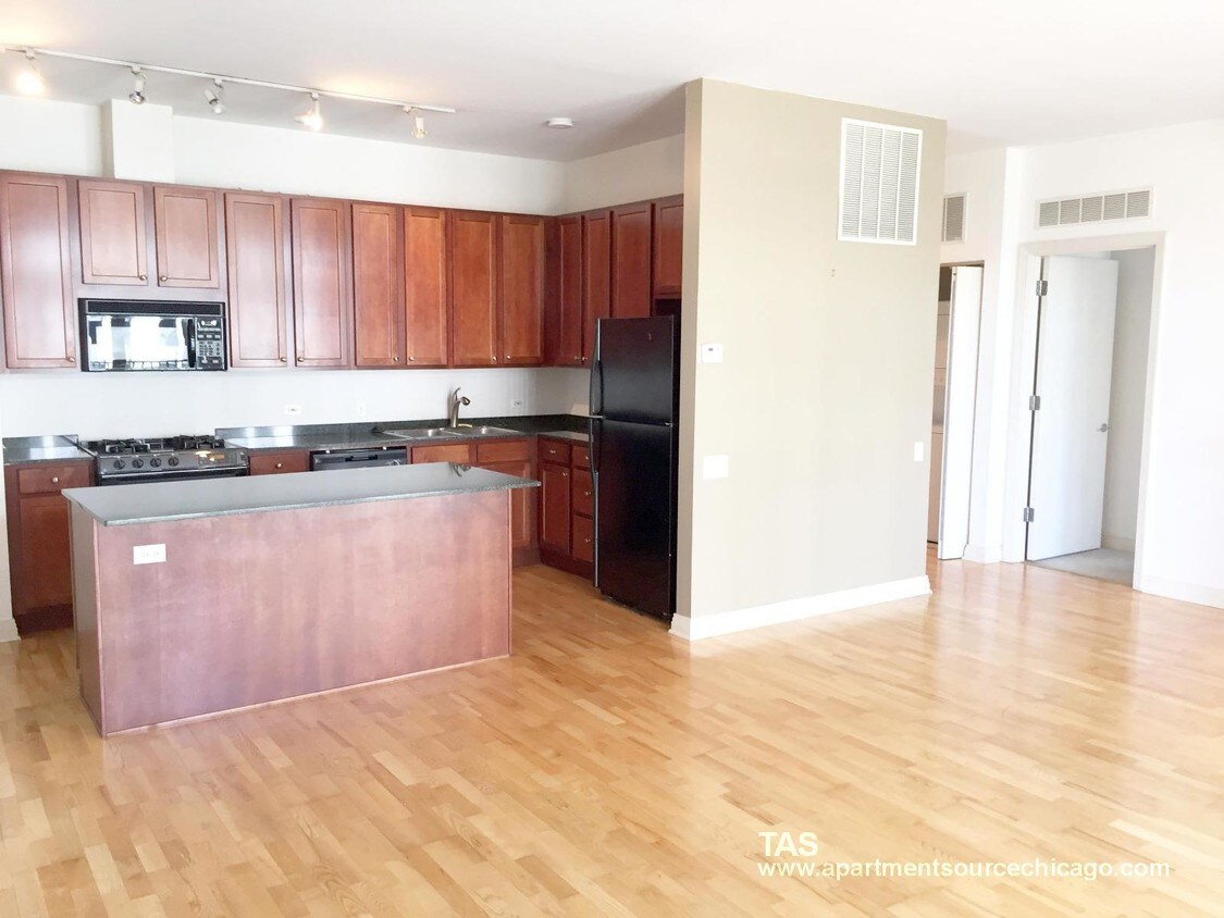 330 N Clinton St Unit 304, Chicago, IL 60661 Condo for Rent in