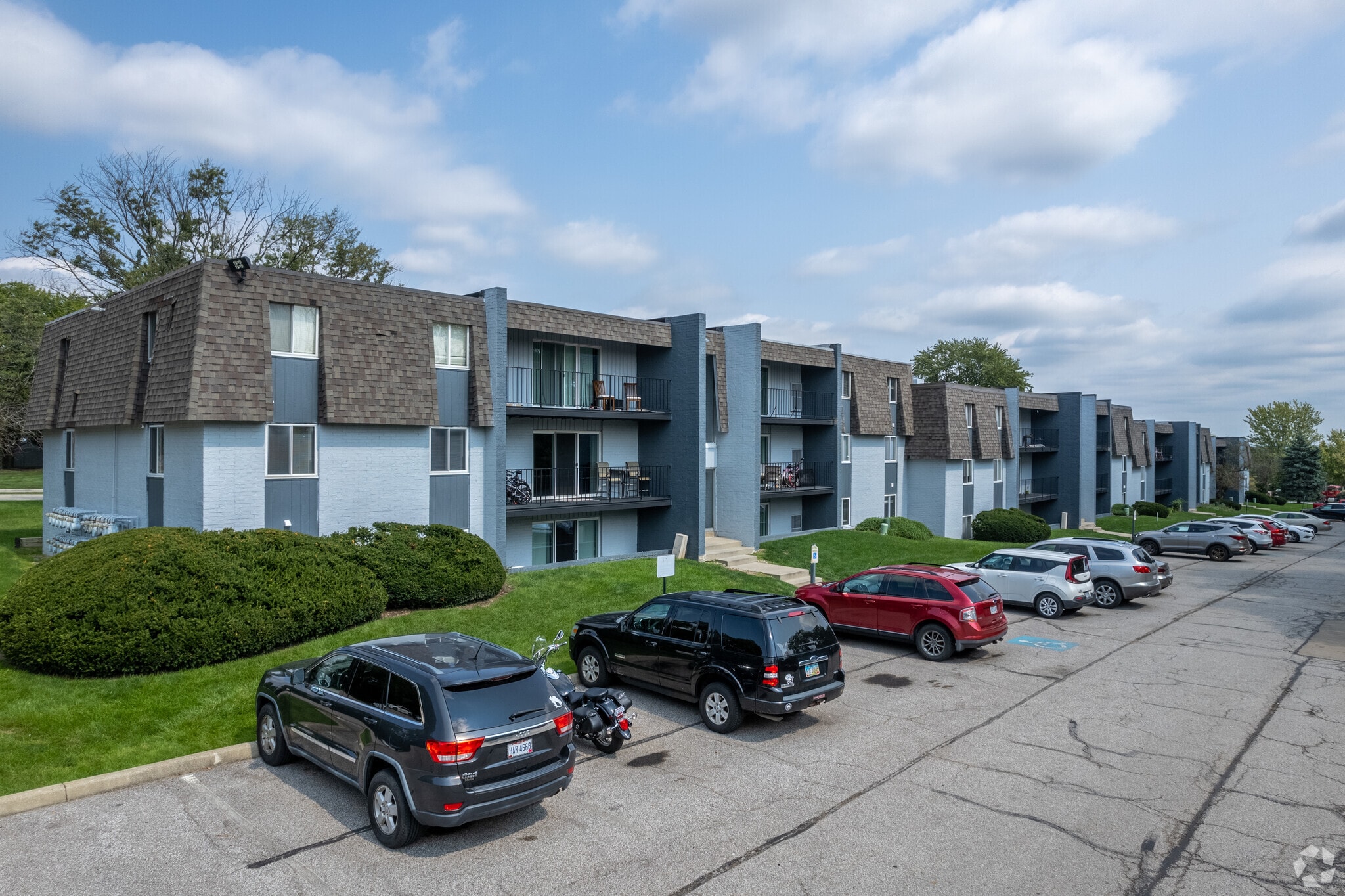 Forest Hills – photo 3