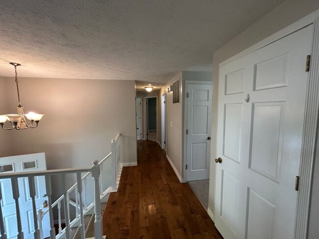 Building Photo - Remodeled 3 Bedroom House in Mason