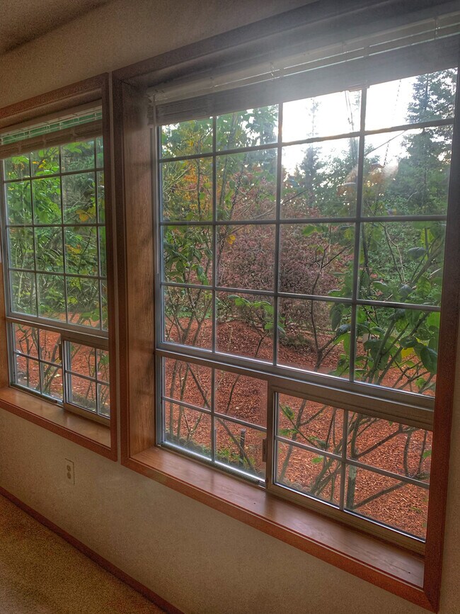 Sala de estar - 513 Hidden Forest Dr SE