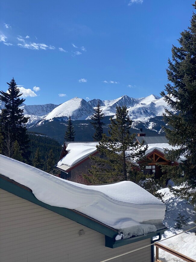 221 S Fuller Placer Rd, Breckenridge, CO 80424 Townhome Rentals in